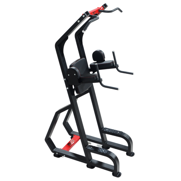 Vertical Knee Raiser/Chin Up Bar/Parallel Bars (3 in 1)