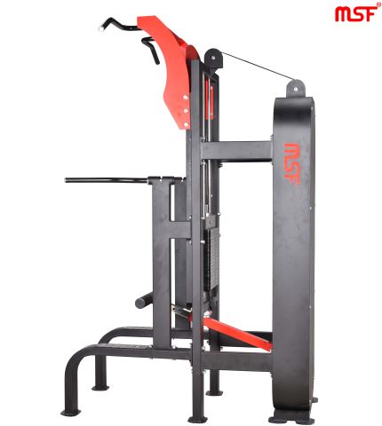 Weight Assisted Chin Dip Combo (Elite)