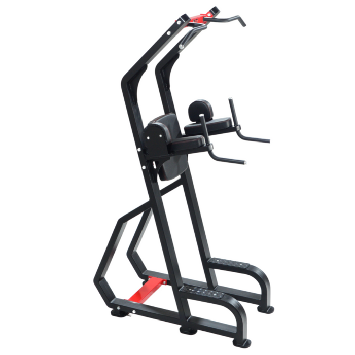 Vertical Knee Raiser/Chin Up Bar/Parallel Bars (3 in 1)