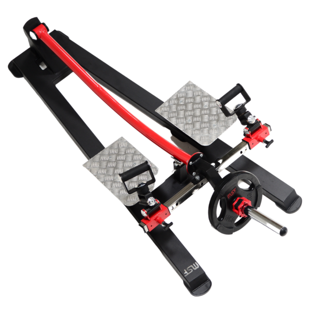 T-Bar Rowing with D-Handle (Plate Loaded)