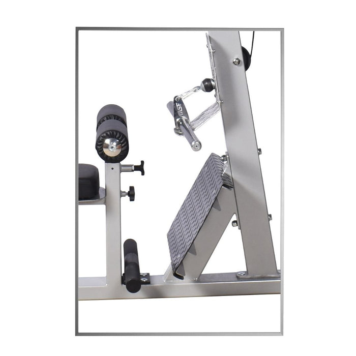 Lat Pull Down/Seated Rowing (Zen)