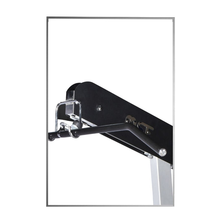 Lat Pull Down/Seated Rowing (Zen)