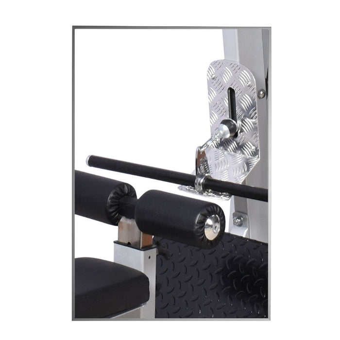 Lat Pull Down/Seated Rowing (Zen)