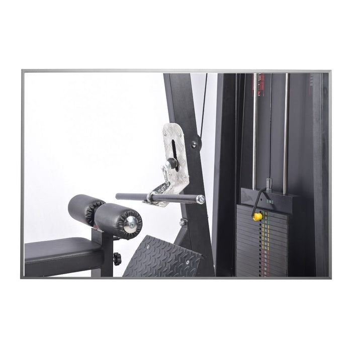 Lat Pull Down/Seated Rowing (Zen)