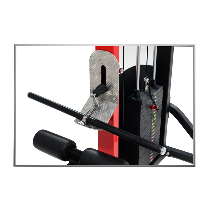 Lat Pulldown/Seated Rowing (Alpha)