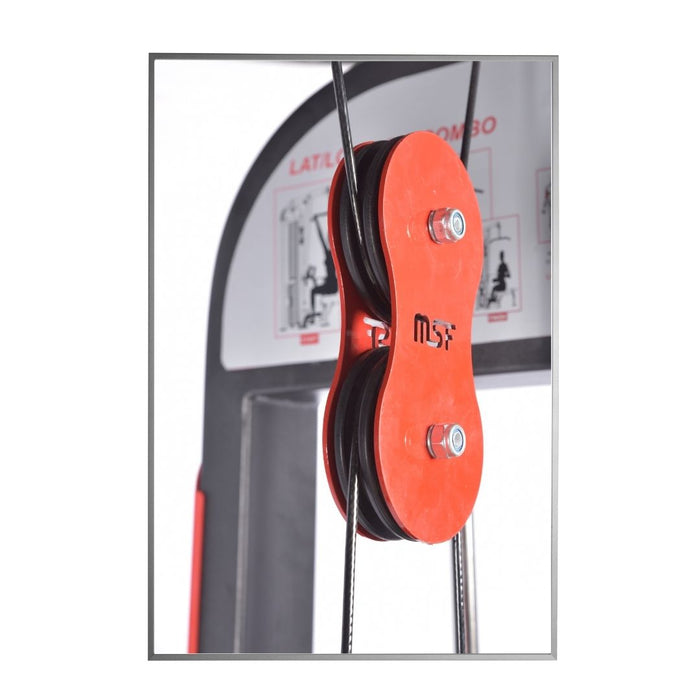 Lat Pull Down/Seated Rowing (Zen)