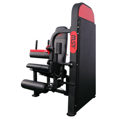 Leg Extension / Leg Curl (Zen)