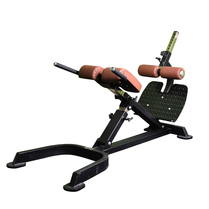 Sleek brand Hyper Extension Gym Machine, Model Name/Number: SFB-B08 at Rs  15000 in Coimbatore