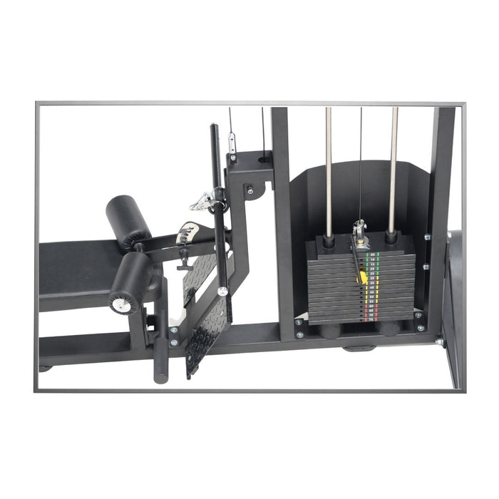 Lat Pulldown/Seated Rowing (Alpha)