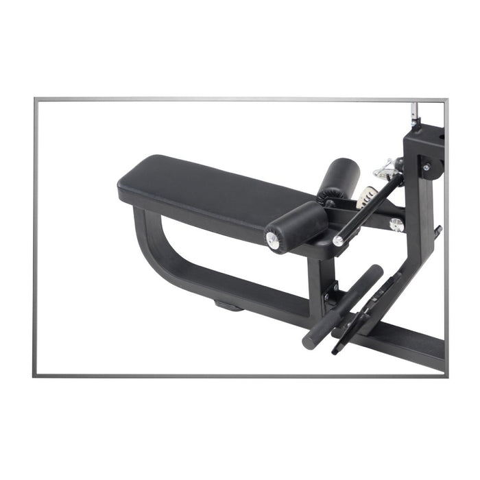 Lat Pulldown/Seated Rowing (Alpha)