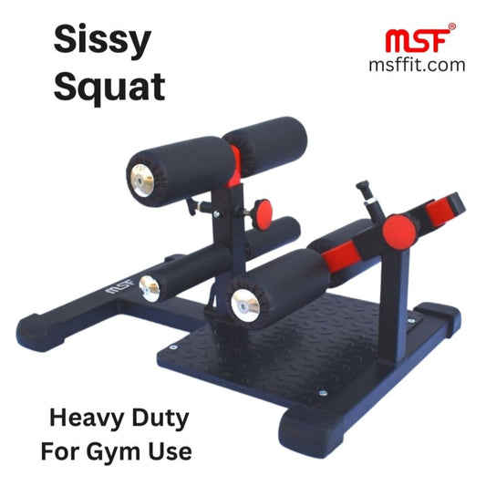 Sissy Squat Regular