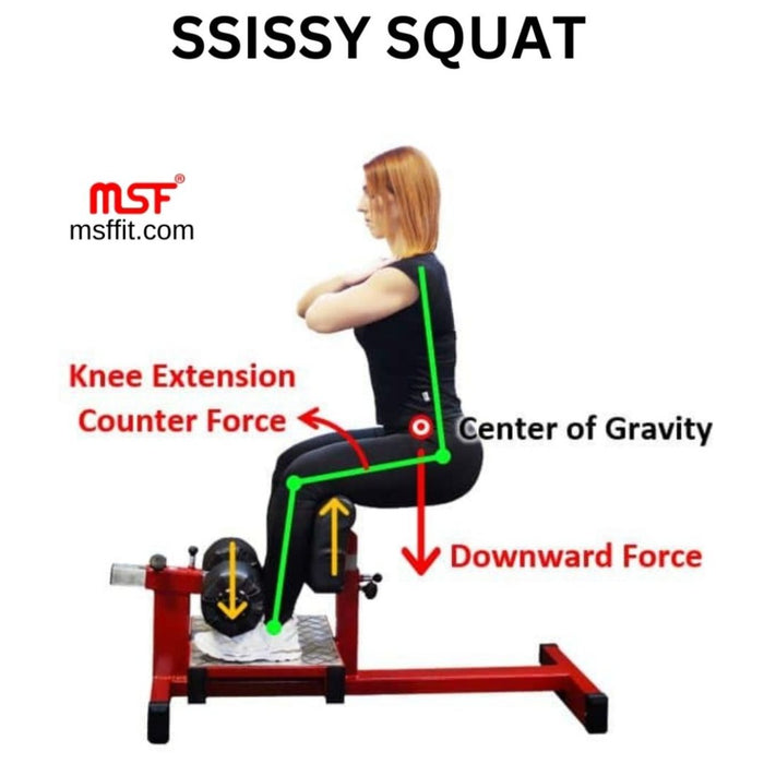 Sissy Squat Regular