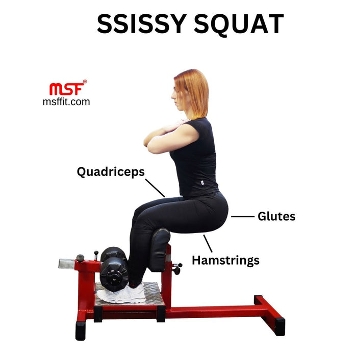 Sissy Squat Regular — MSFFIT