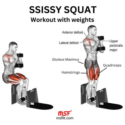 Sissy Squat Regular