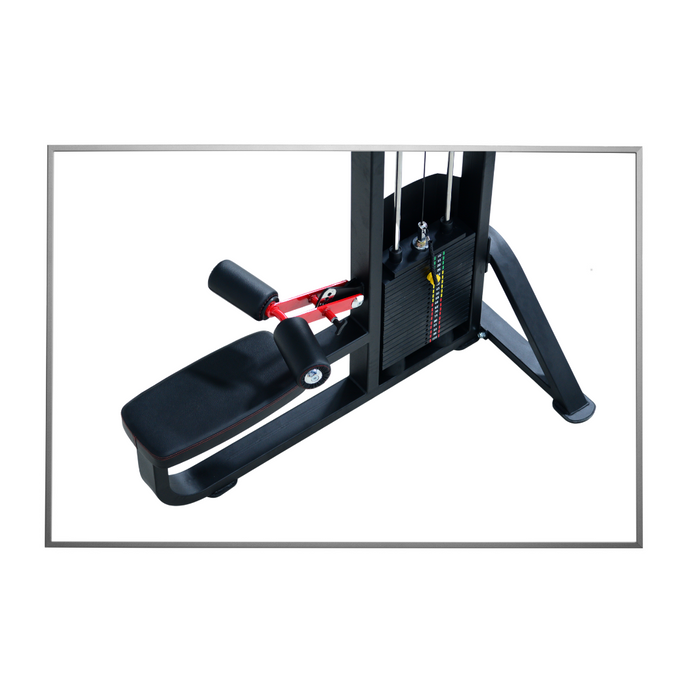 Lat Pull Down (Alpha)