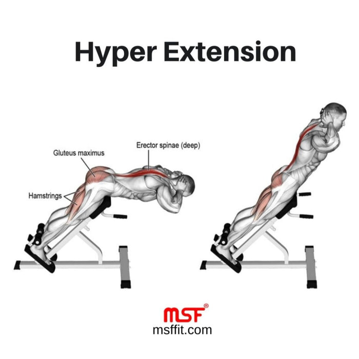 Hyper Extension BS
