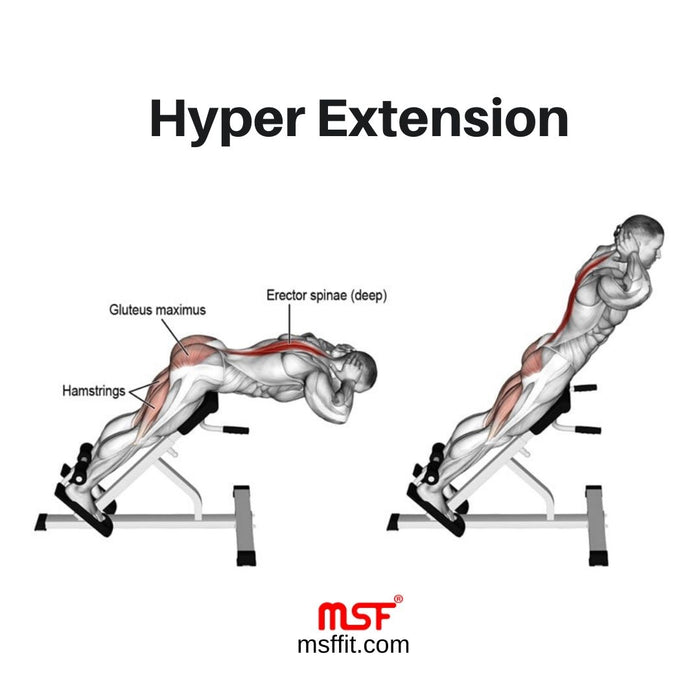 Hyper Extension BS