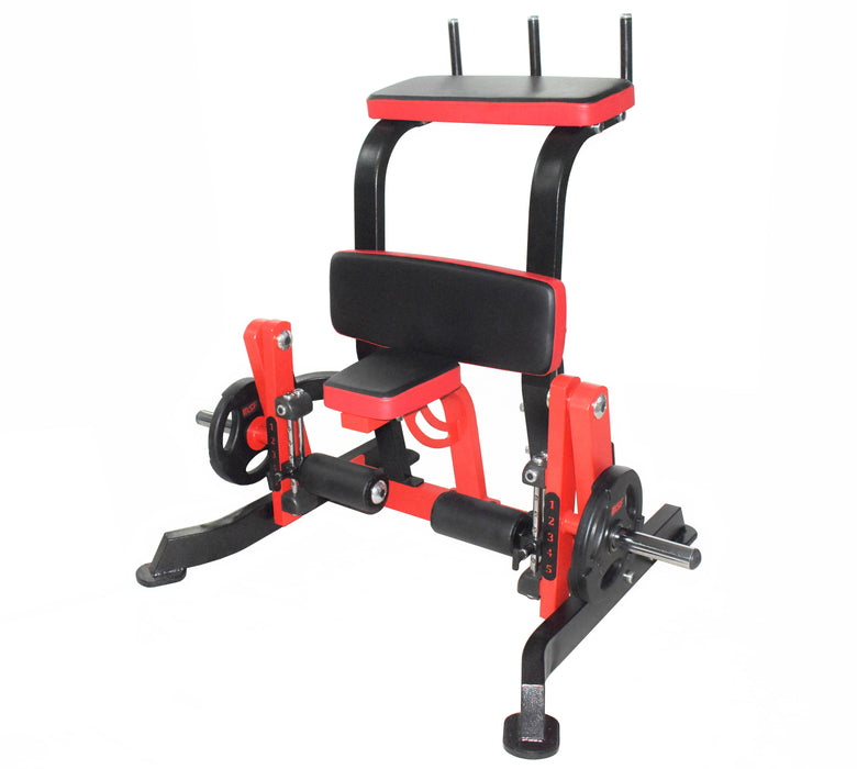 Standing Leg Curl Plate Loaded Machine